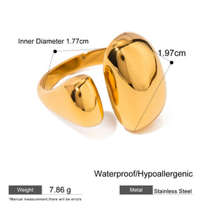 Double Asymmetric Ring